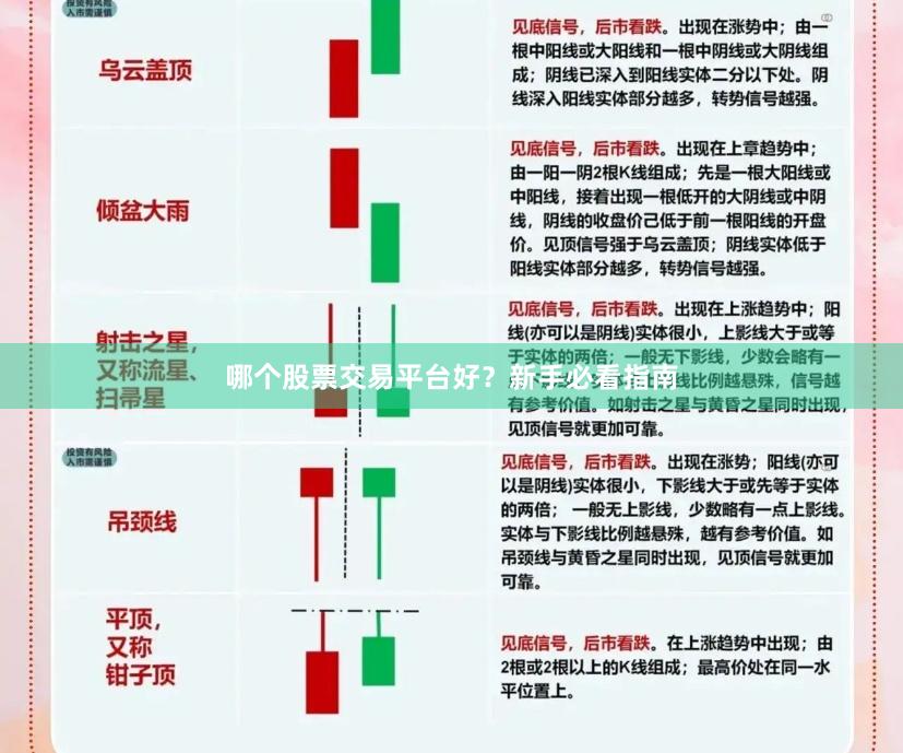 哪个股票交易平台好？新手必看指南